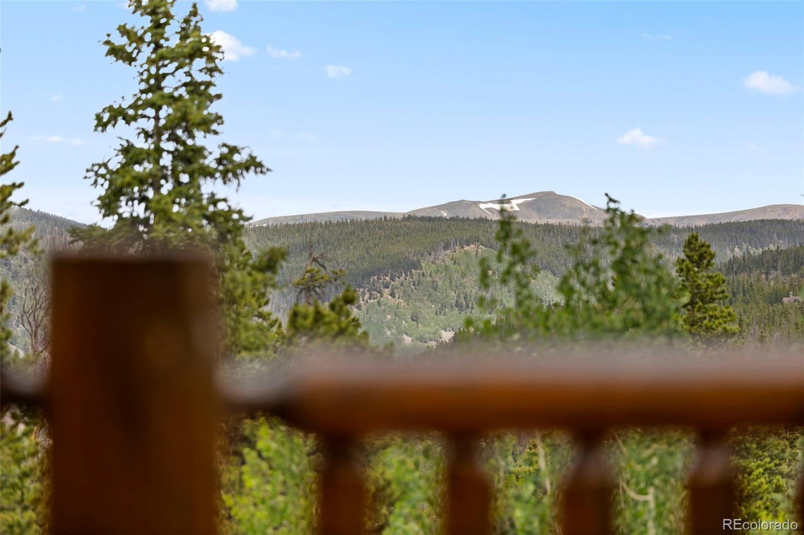 MLS Image #13 for 378  juniata circle,breckenridge, Colorado