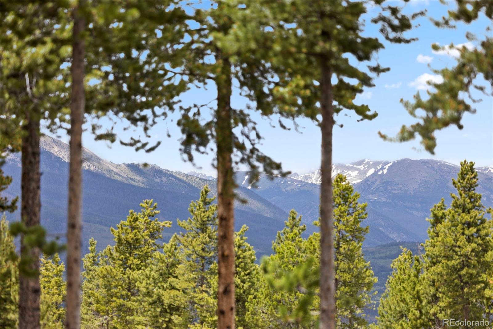 MLS Image #14 for 378  juniata circle,breckenridge, Colorado