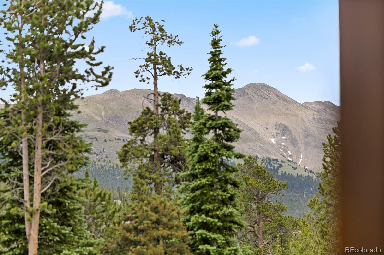 MLS Image #19 for 378  juniata circle,breckenridge, Colorado