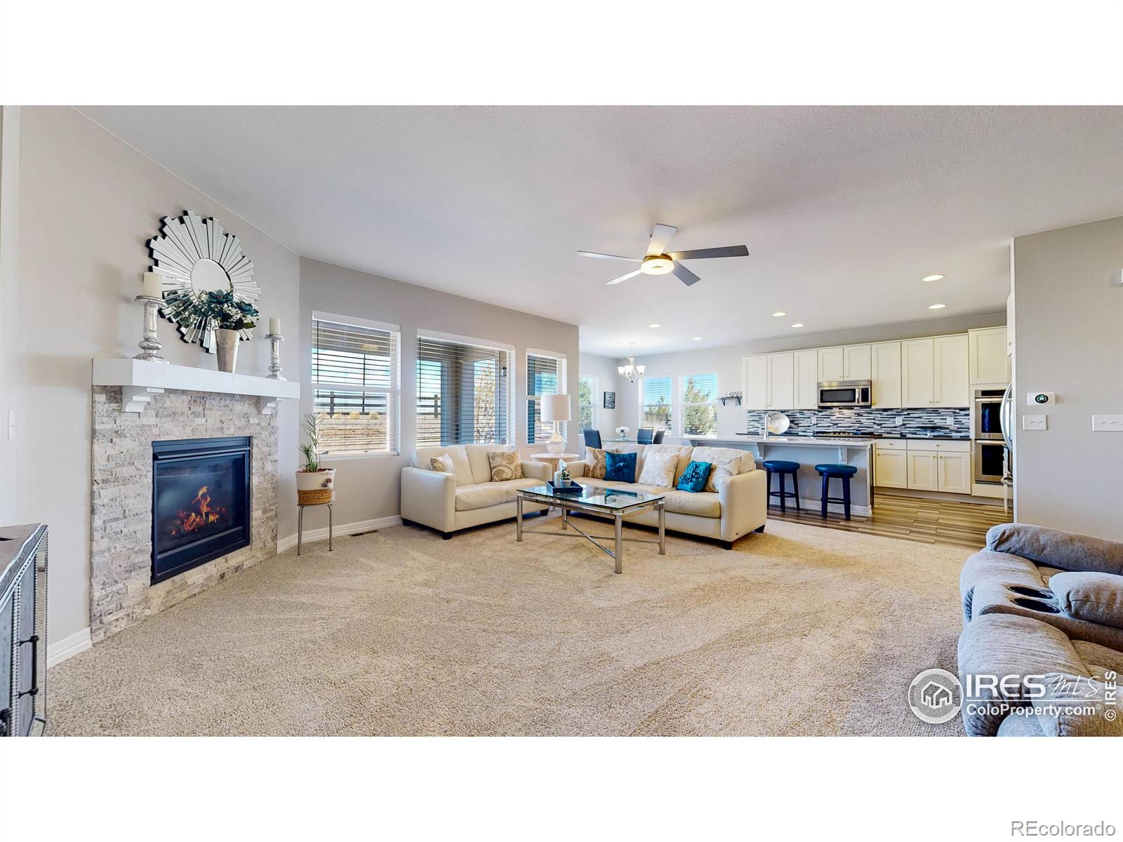 MLS Image #25 for 11829  deorio street,parker, Colorado