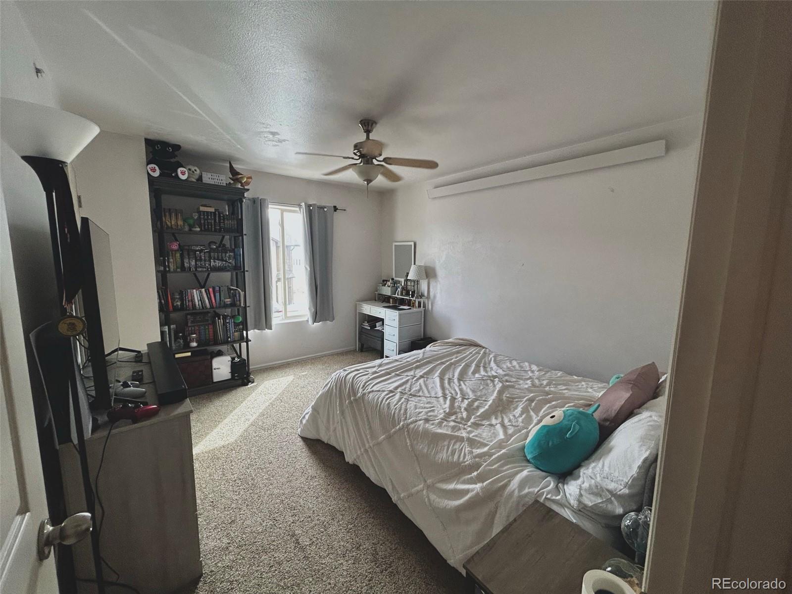 MLS Image #11 for 480  antero circle,buena vista, Colorado