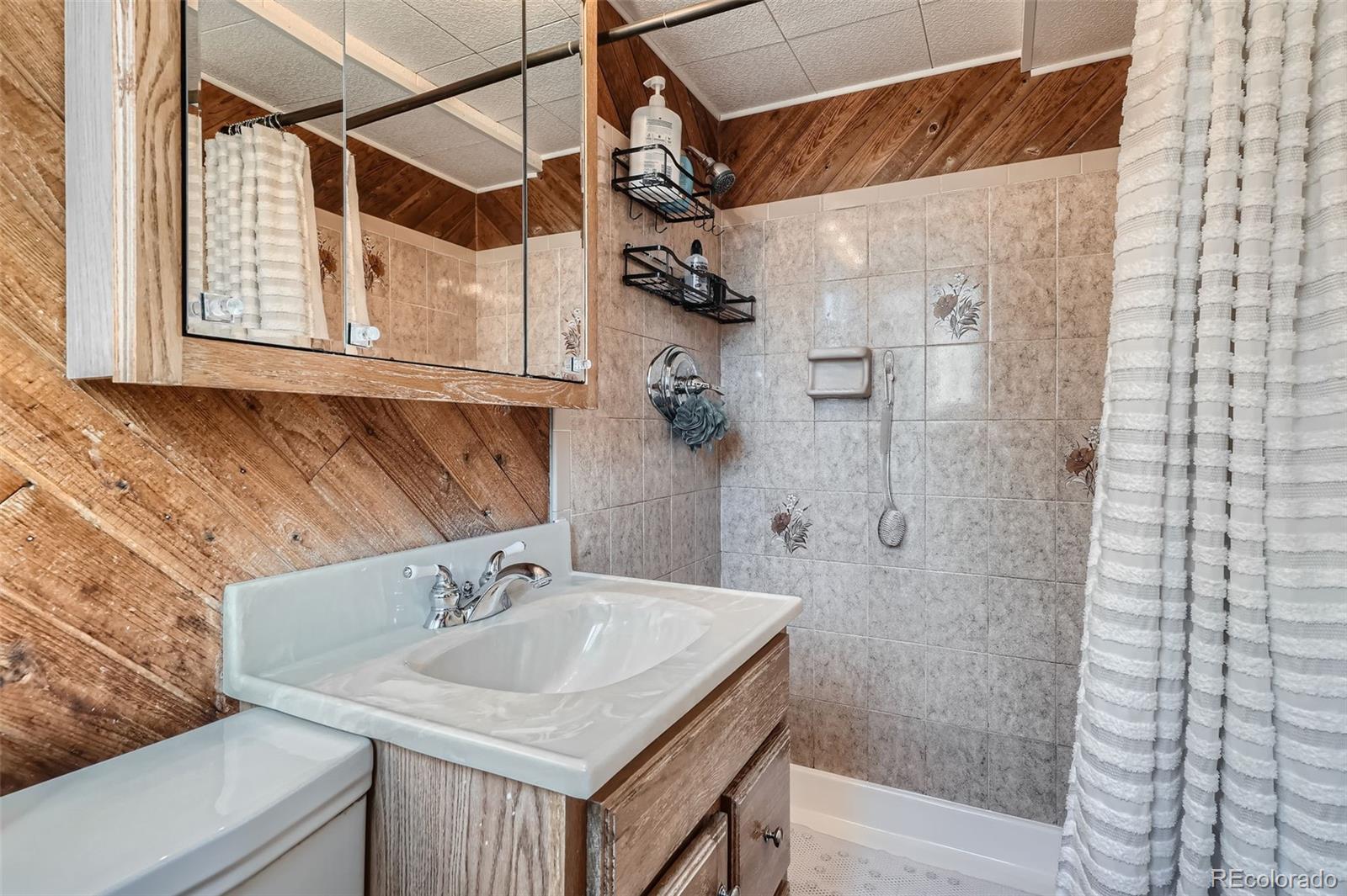 MLS Image #20 for 975 s queen way,lakewood, Colorado