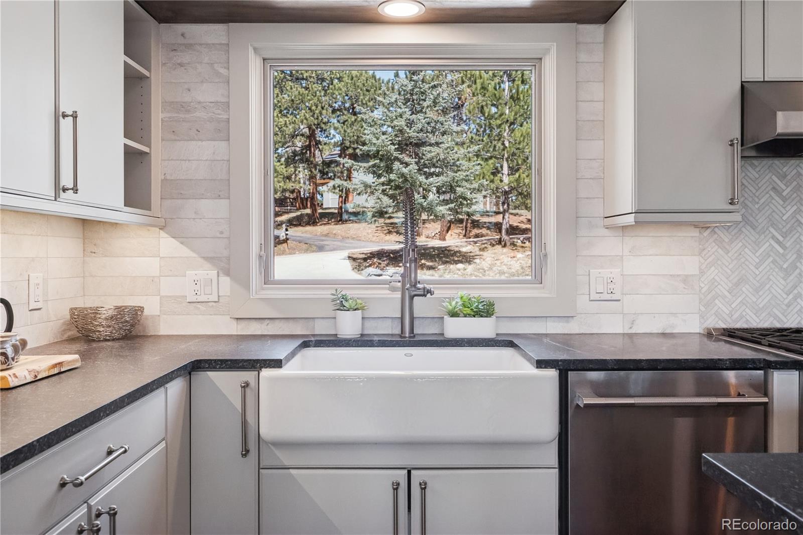MLS Image #10 for 31607  broadmoor drive,evergreen, Colorado