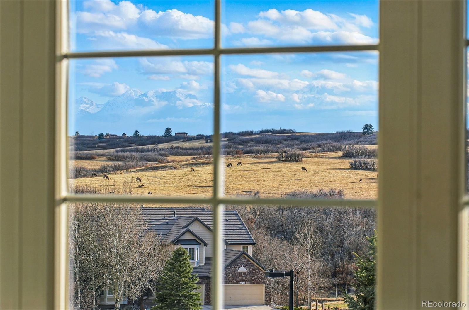 MLS Image #17 for 6577  esperanza drive,castle pines, Colorado