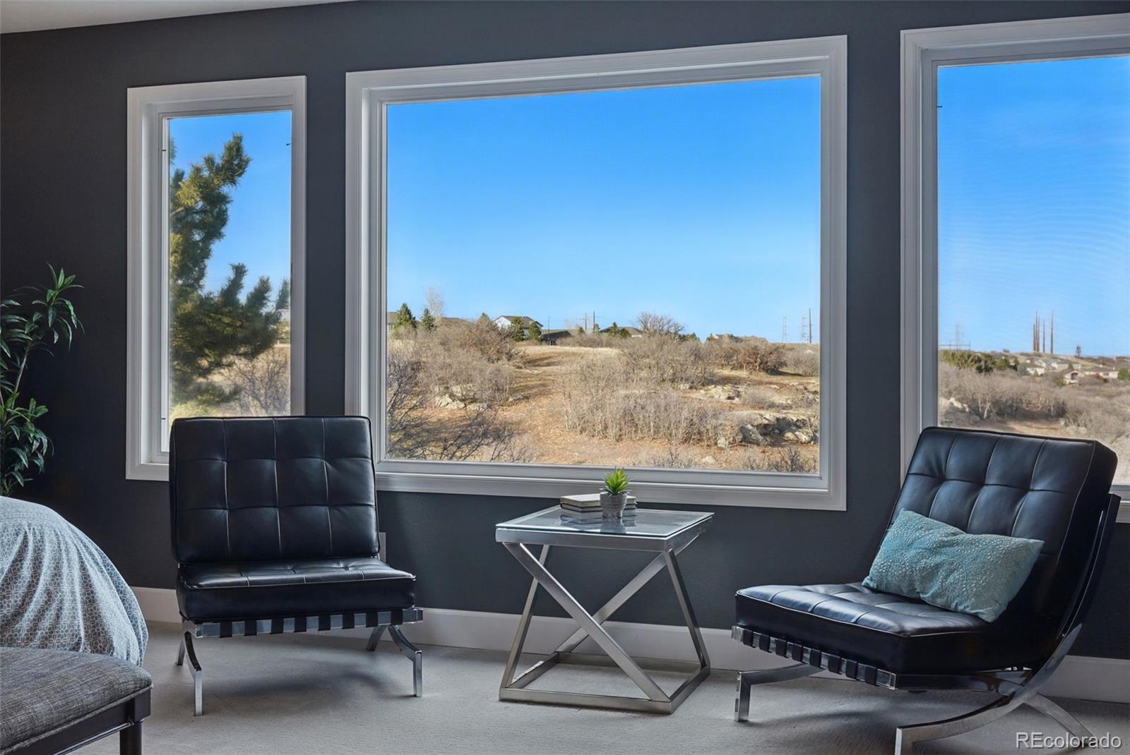 MLS Image #18 for 6577  esperanza drive,castle pines, Colorado