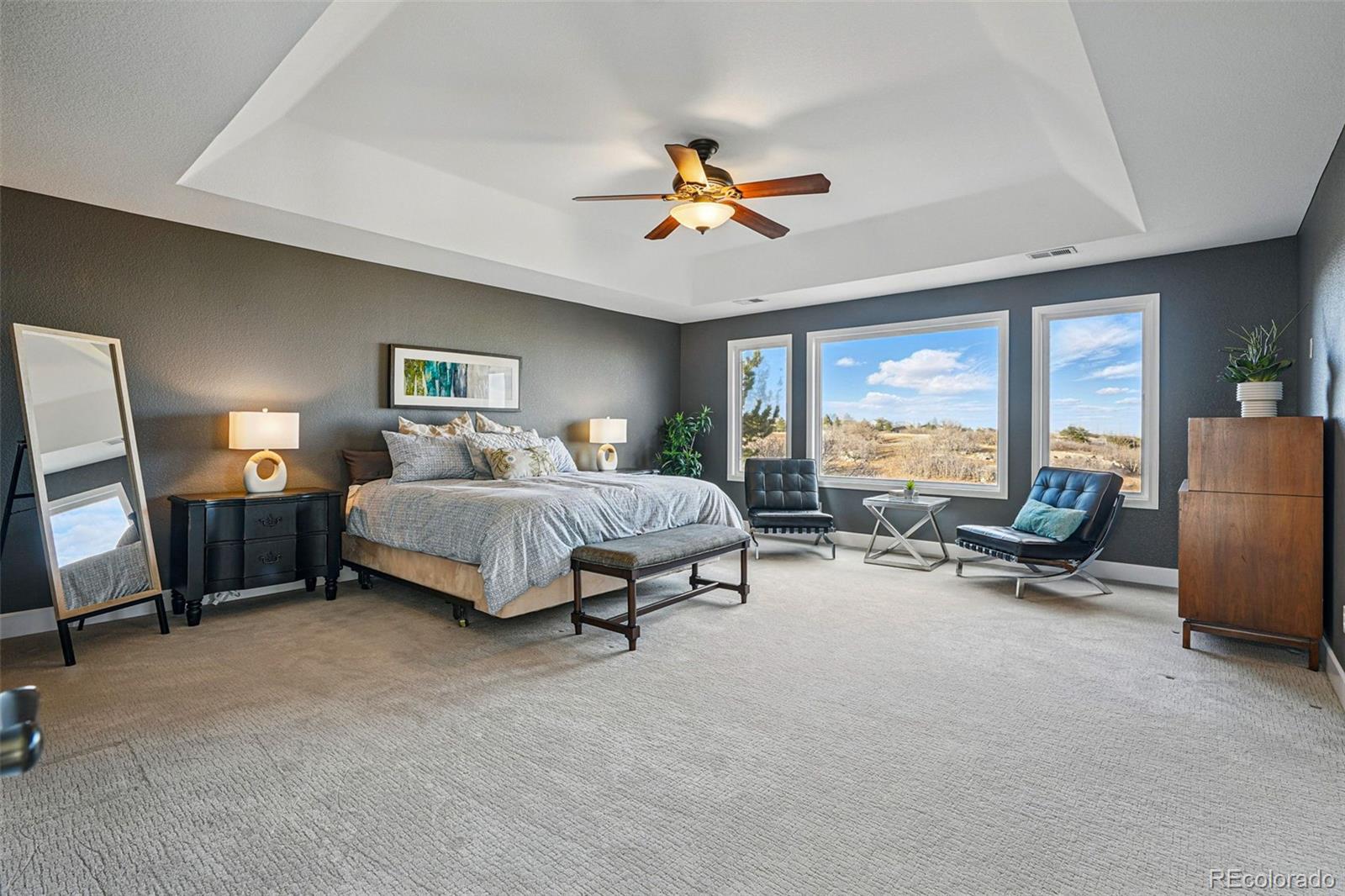 MLS Image #4 for 6577  esperanza drive,castle pines, Colorado