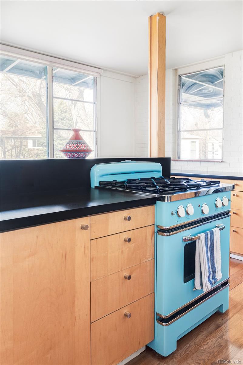 MLS Image #12 for 3050 s marion street,englewood, Colorado
