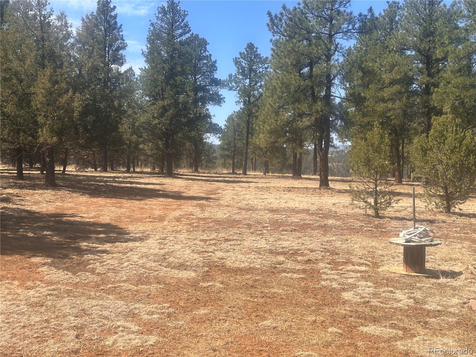 MLS Image #35 for 13567 w point road,weston, Colorado
