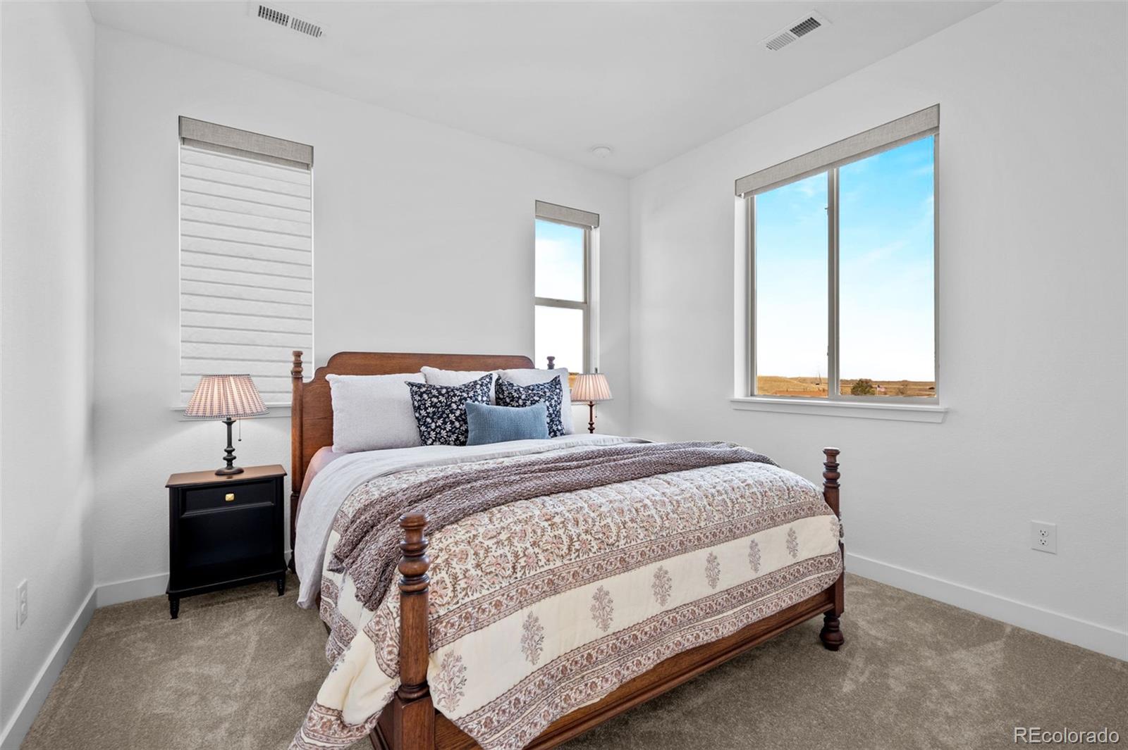 MLS Image #19 for 15606 w girard avenue,morrison, Colorado