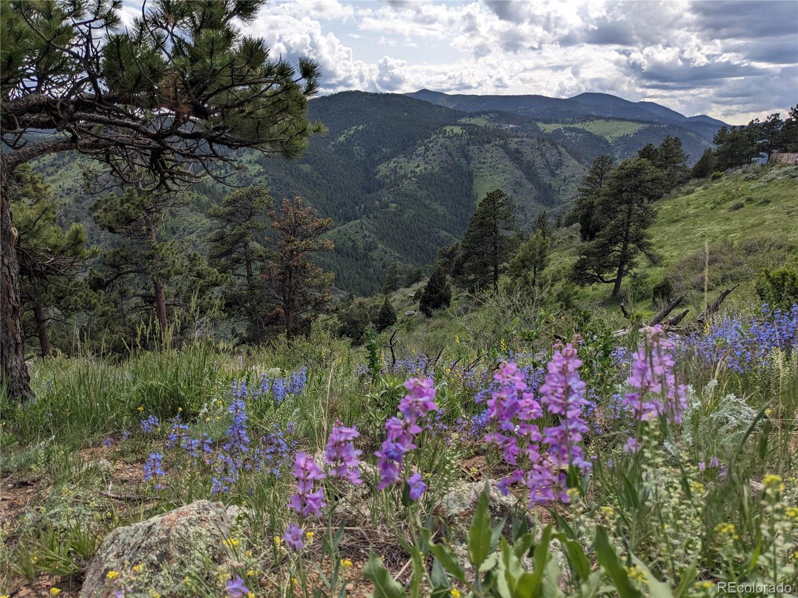 MLS Image #21 for 25421  westridge road,golden, Colorado