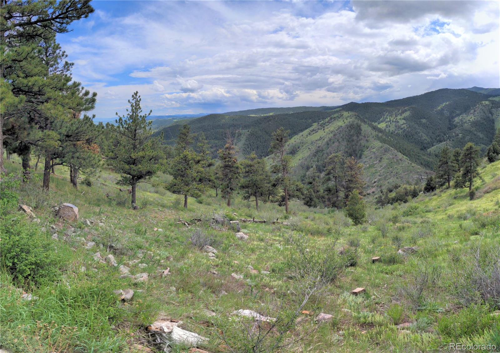MLS Image #22 for 25421  westridge road,golden, Colorado