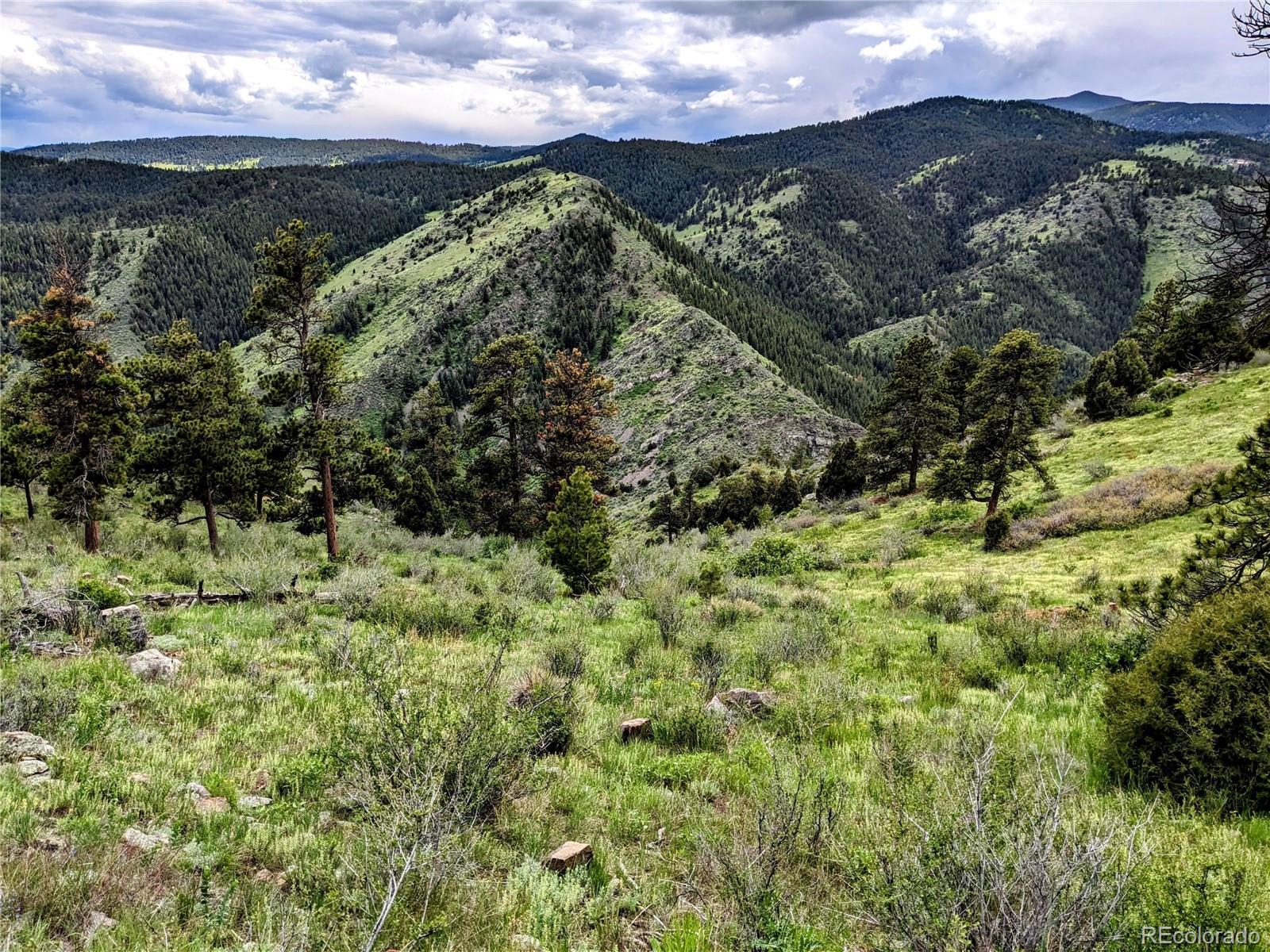 MLS Image #23 for 25421  westridge road,golden, Colorado