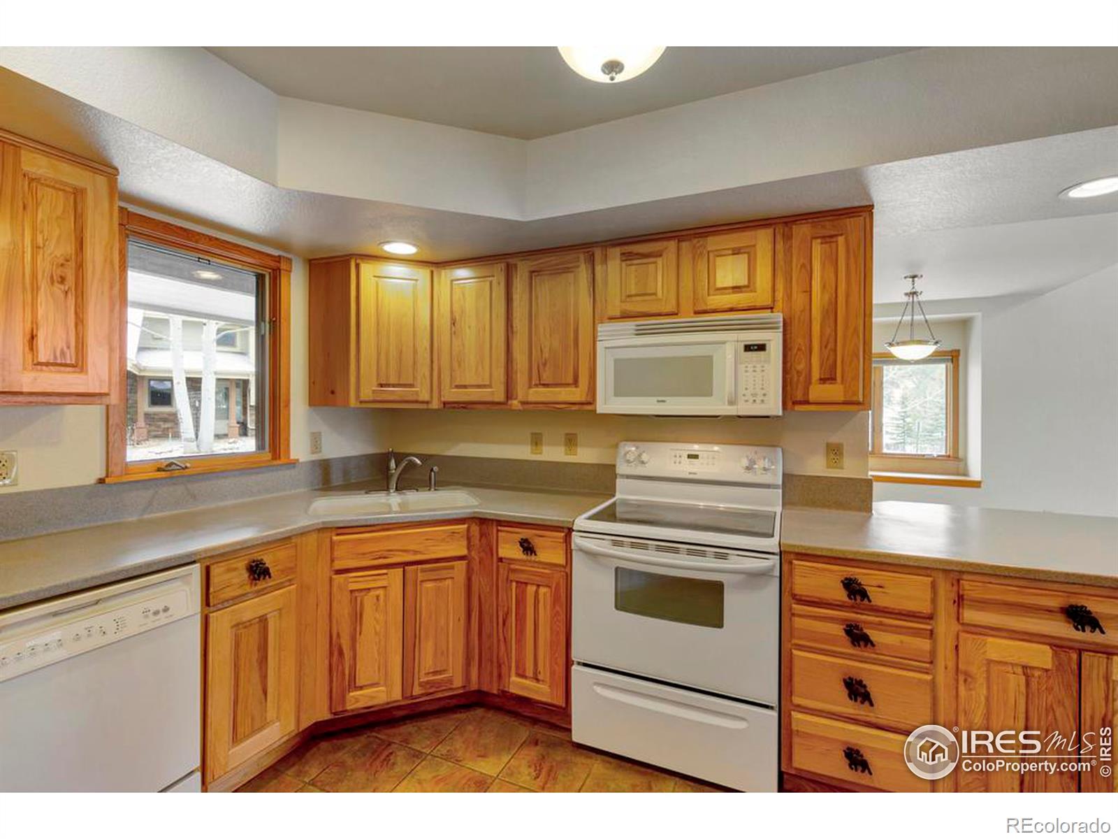 MLS Image #12 for 885  crabapple lane,estes park, Colorado