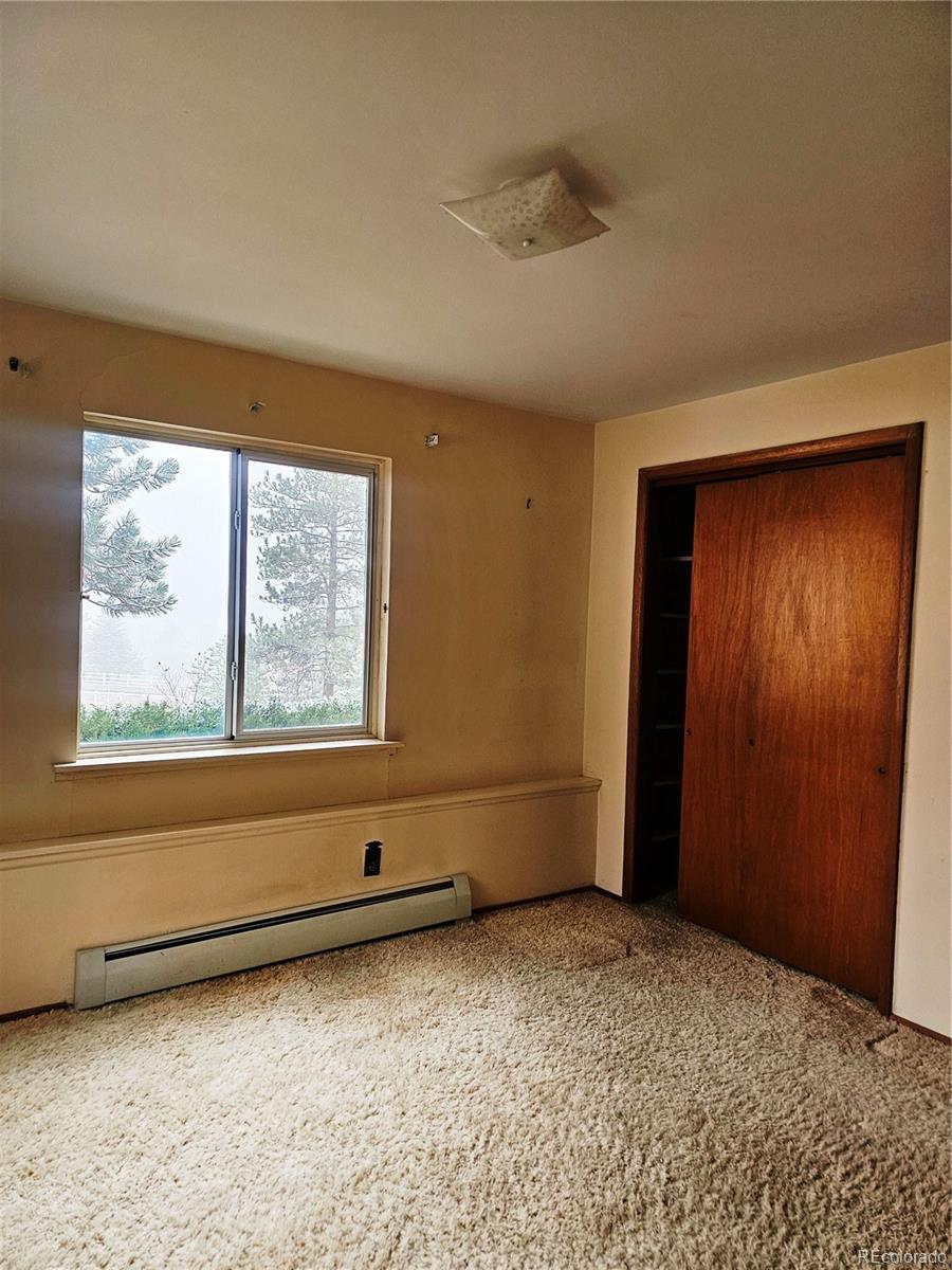 MLS Image #19 for 3841  myers gulch road,kittredge, Colorado