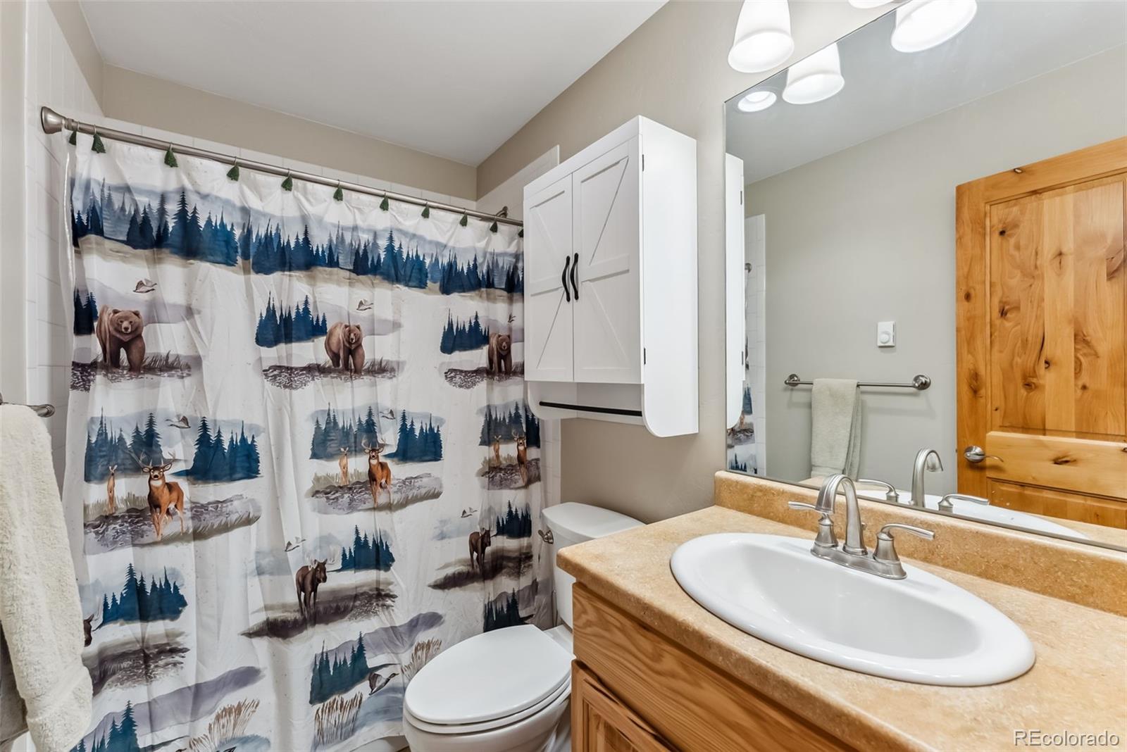 MLS Image #18 for 6726  ryan gulch road,silverthorne, Colorado