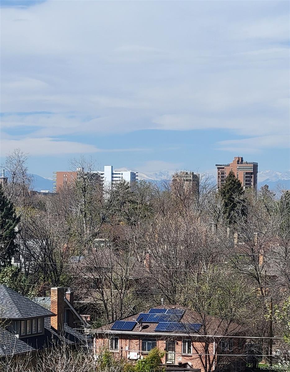 MLS Image #30 for 1313  steele street,denver, Colorado