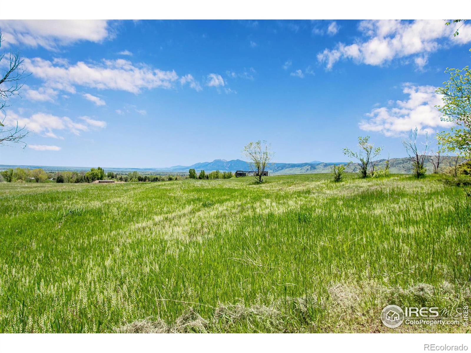 MLS Image #12 for 8171 n 41st street,longmont, Colorado