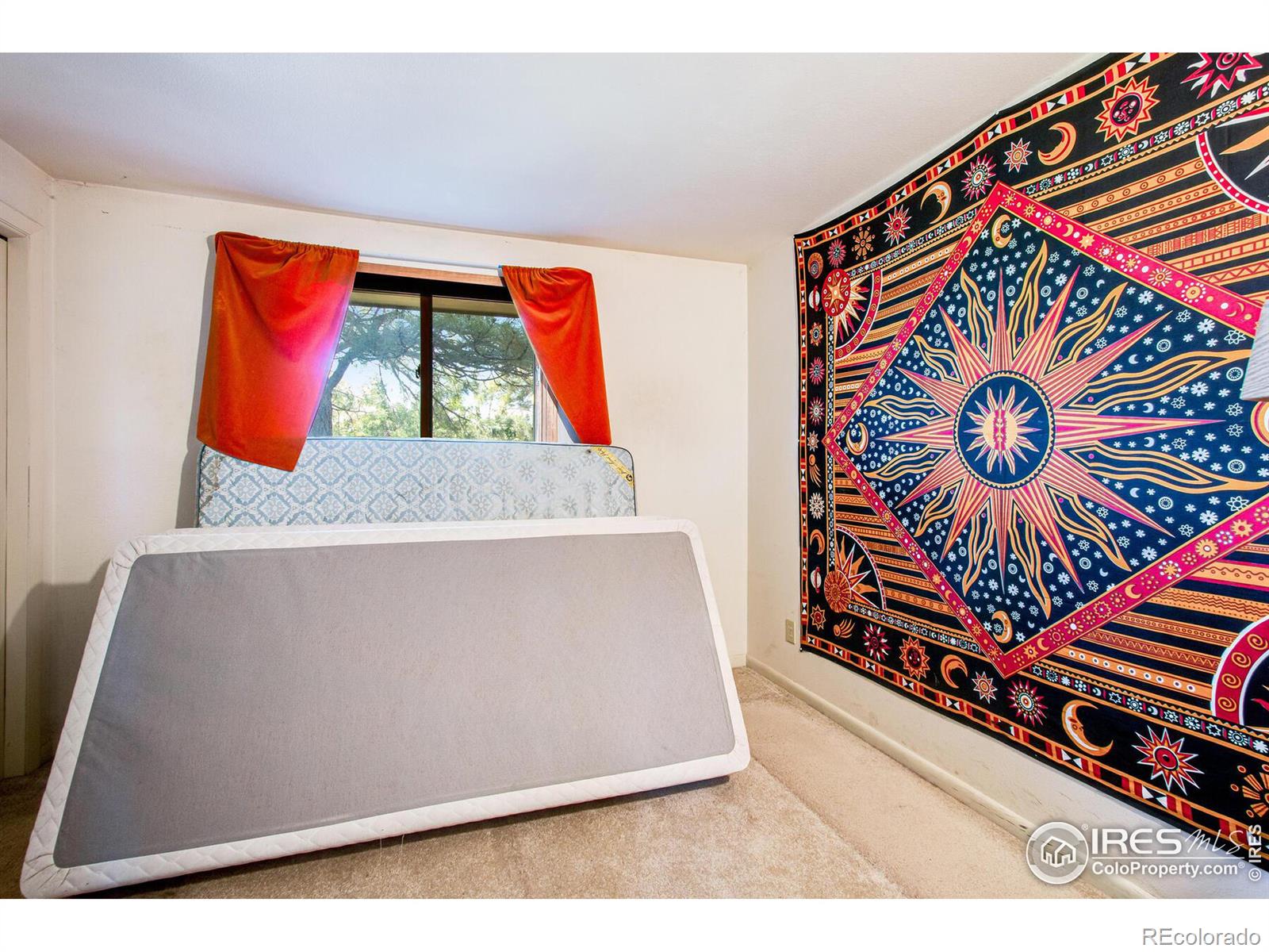 MLS Image #33 for 8171 n 41st street,longmont, Colorado