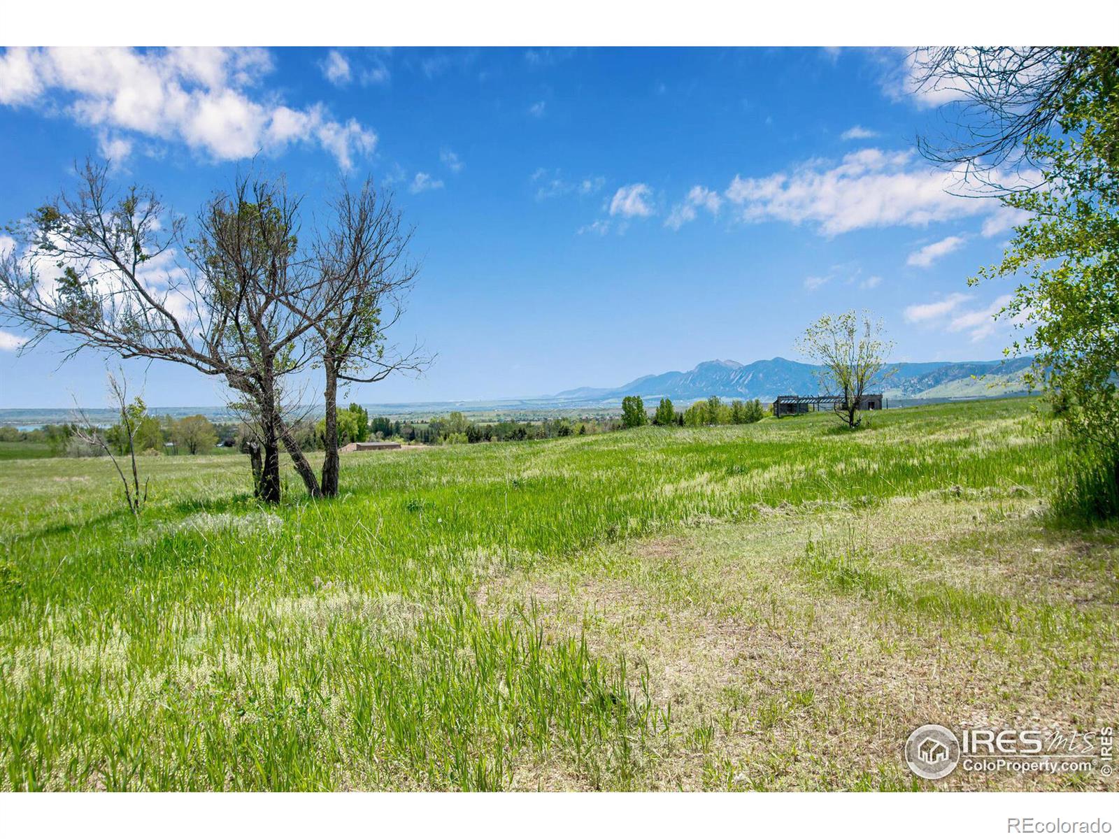 MLS Image #5 for 8171 n 41st street,longmont, Colorado