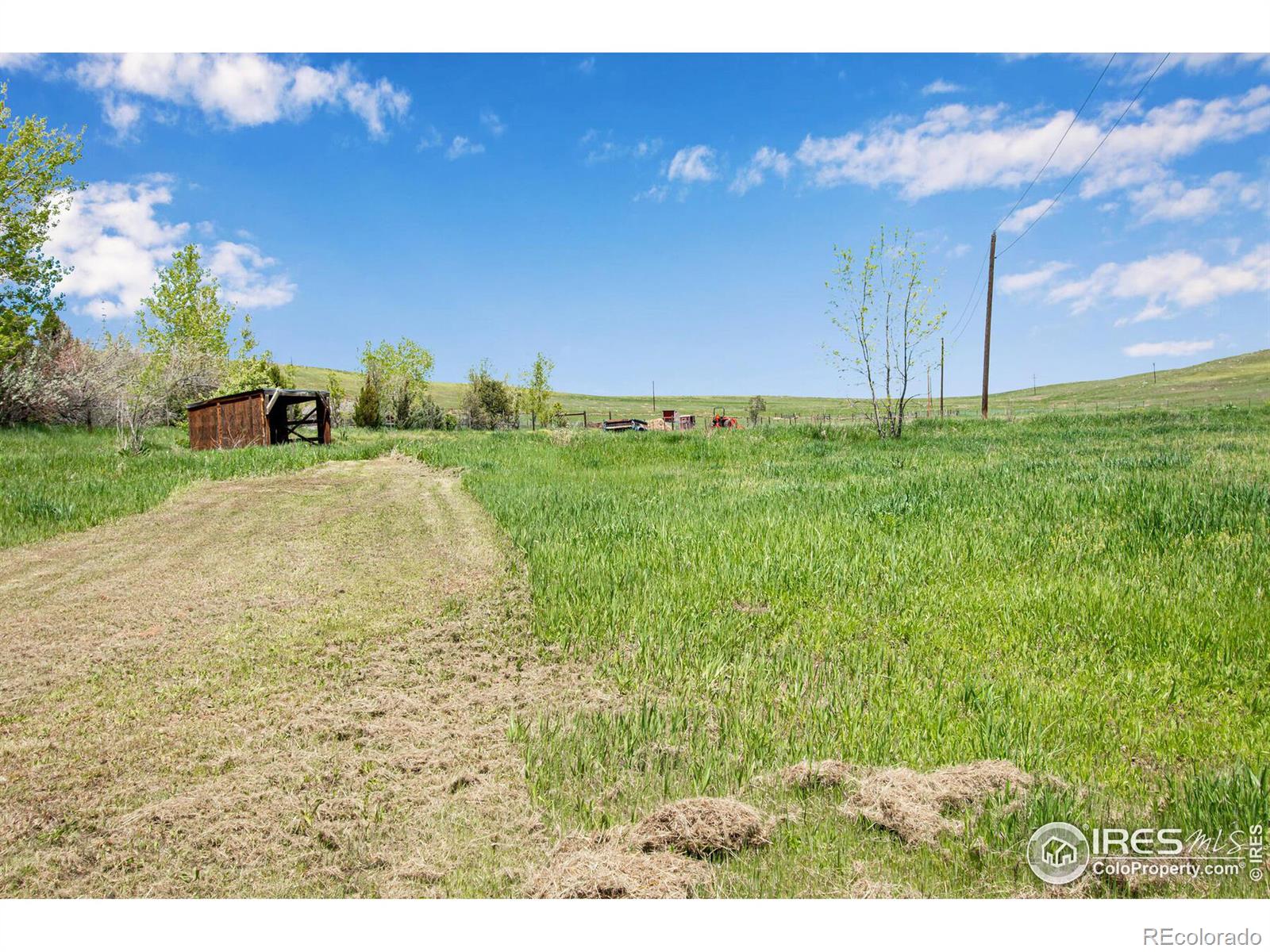 MLS Image #6 for 8171 n 41st street,longmont, Colorado