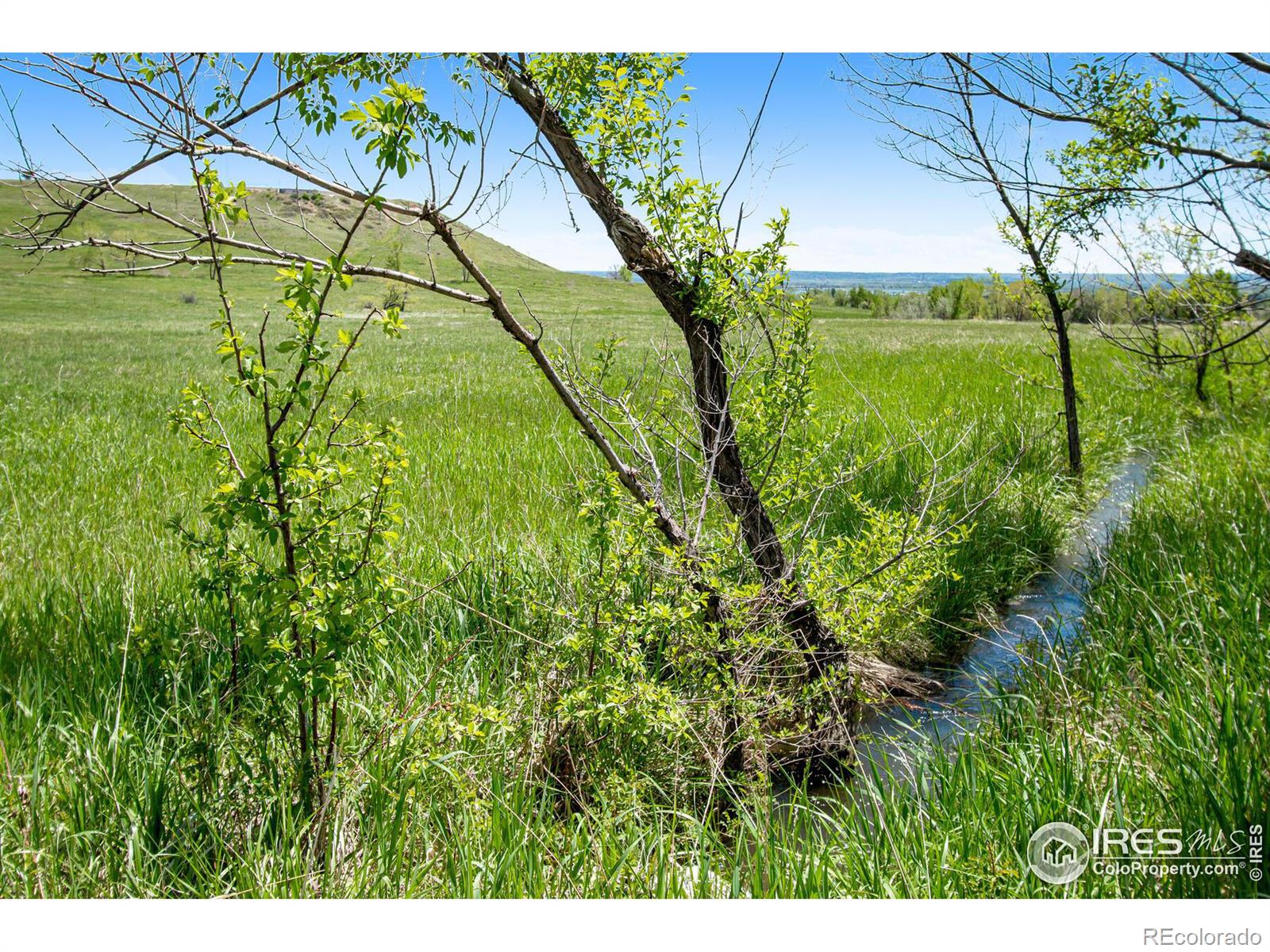 MLS Image #7 for 8171 n 41st street,longmont, Colorado