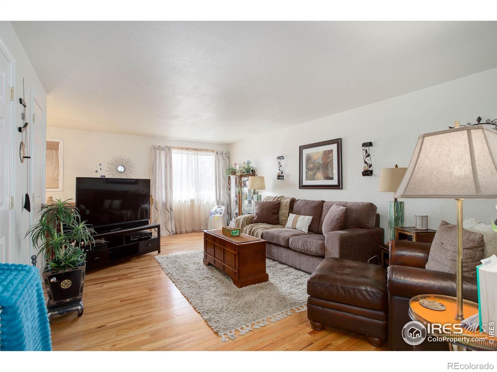 MLS Image #2 for 1420  hover street,longmont, Colorado