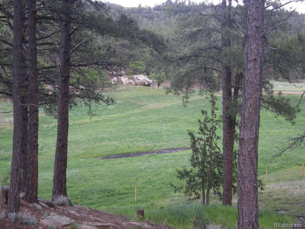 MLS Image #10 for 18908  county road 31.9 ,weston, Colorado