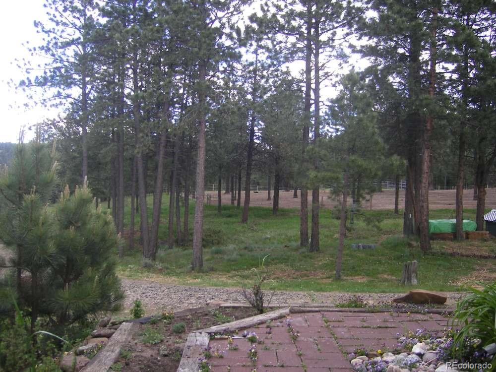 MLS Image #23 for 18908  county road 31.9 ,weston, Colorado