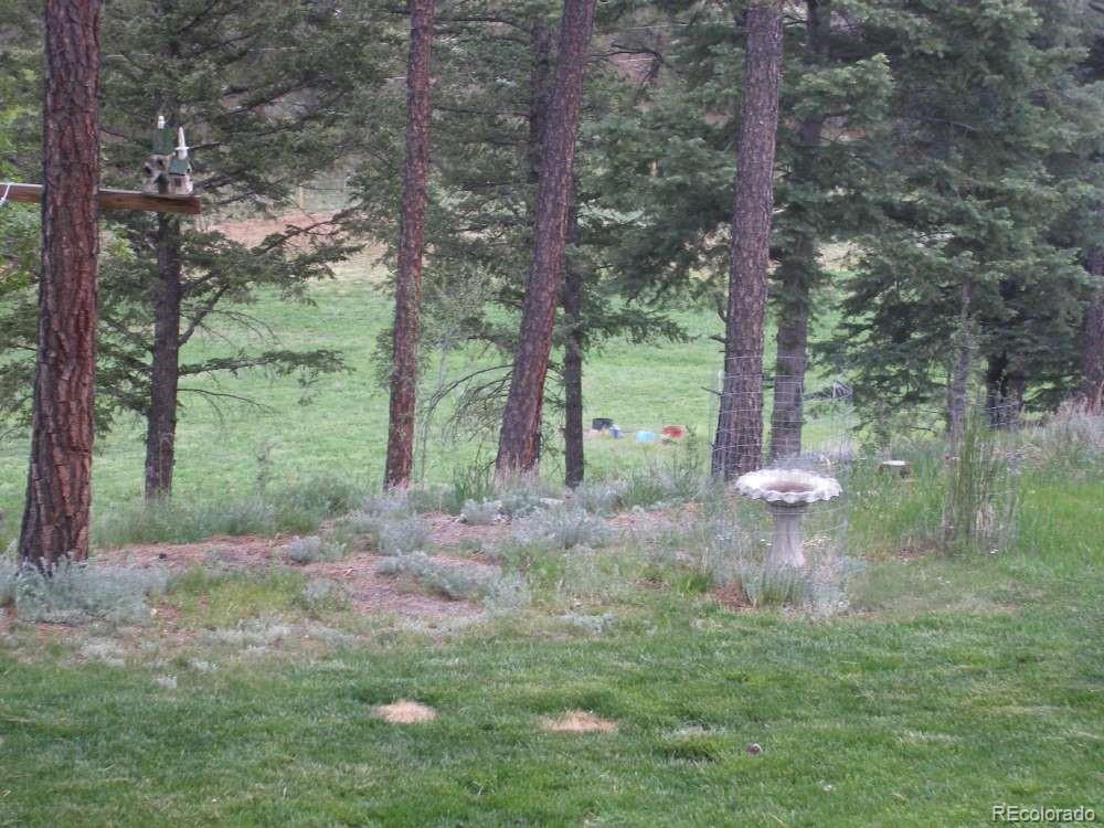 MLS Image #27 for 18908  county road 31.9 ,weston, Colorado