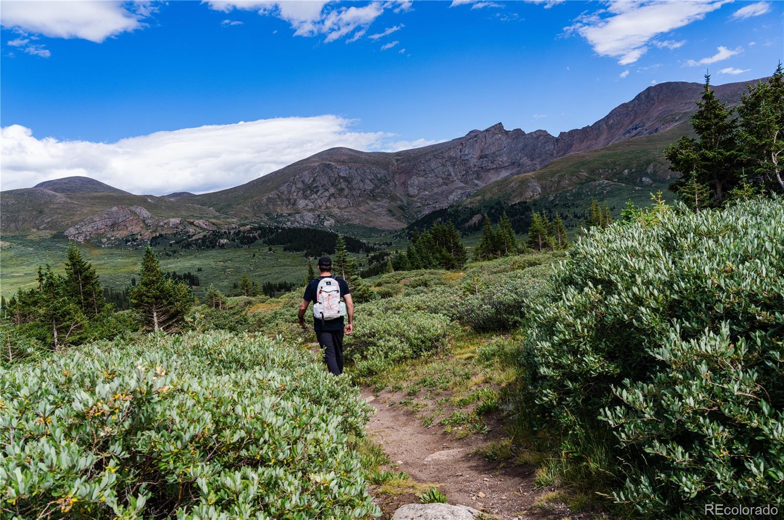 MLS Image #25 for 2152  bighorn road 201,georgetown, Colorado