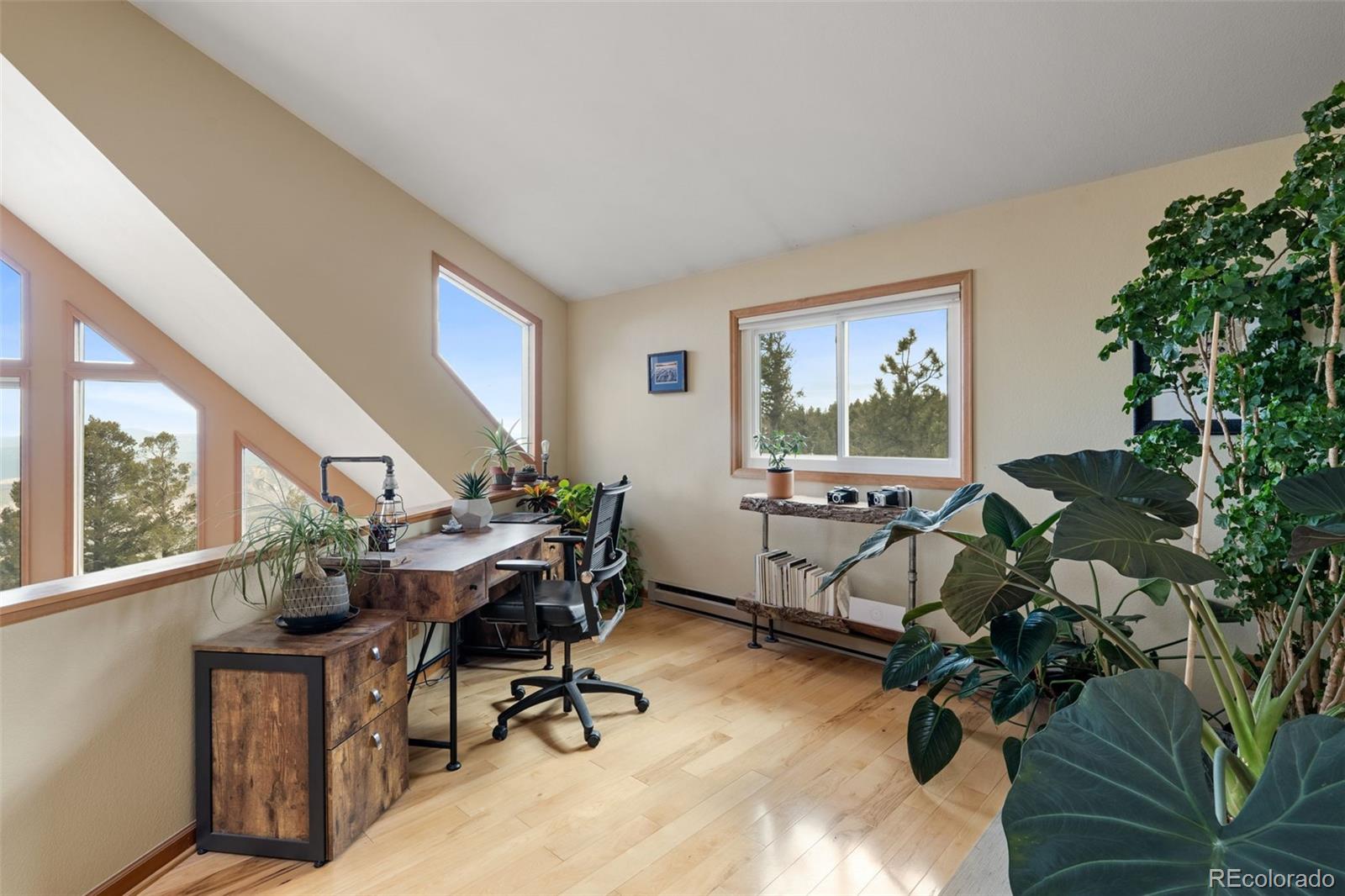 MLS Image #18 for 13452  riley peak road,conifer, Colorado