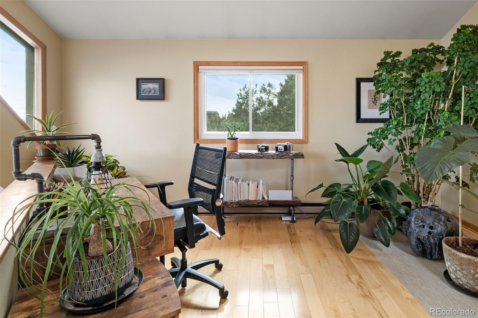 MLS Image #19 for 13452  riley peak road,conifer, Colorado