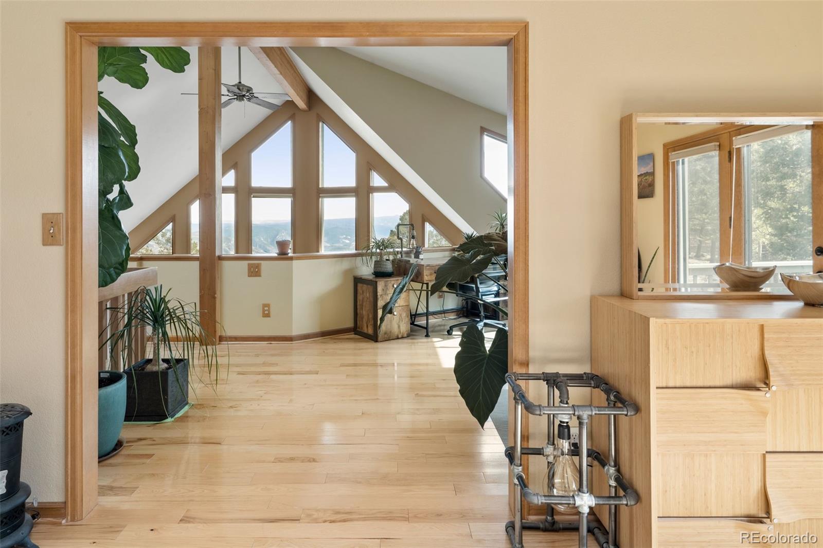 MLS Image #21 for 13452  riley peak road,conifer, Colorado