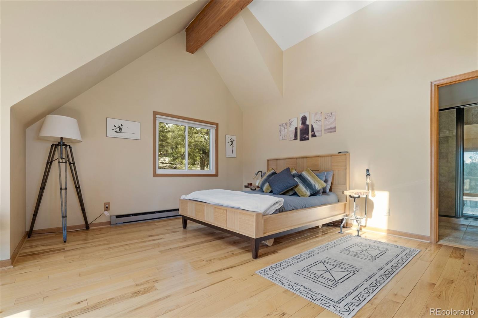 MLS Image #23 for 13452  riley peak road,conifer, Colorado