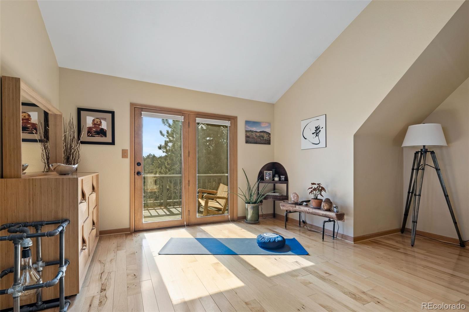 MLS Image #24 for 13452  riley peak road,conifer, Colorado