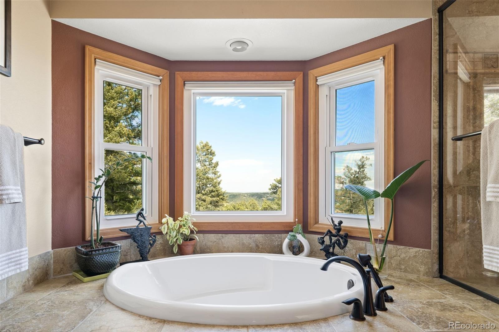 MLS Image #27 for 13452  riley peak road,conifer, Colorado