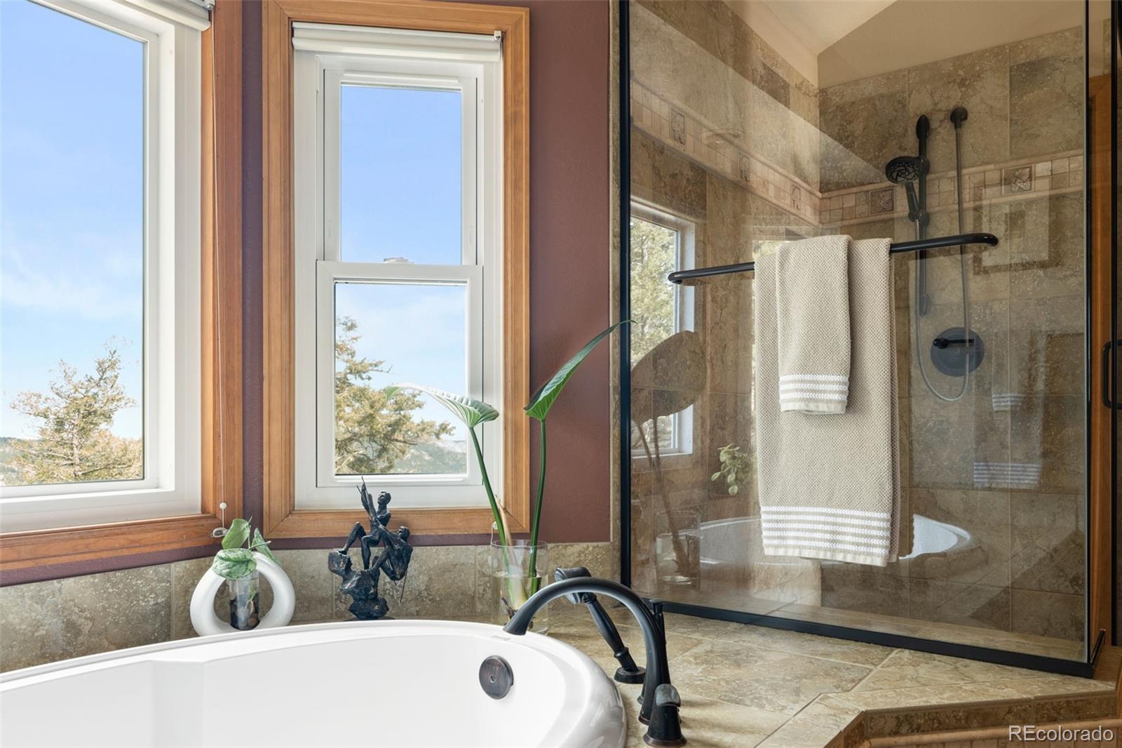 MLS Image #28 for 13452  riley peak road,conifer, Colorado