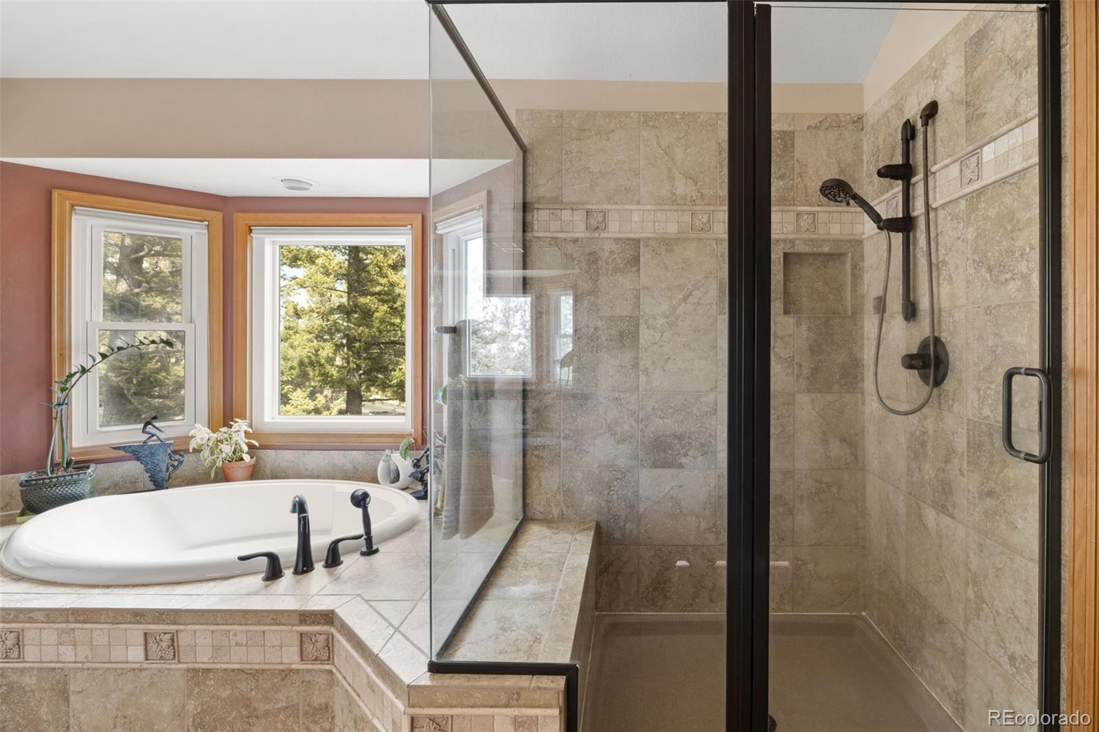 MLS Image #29 for 13452  riley peak road,conifer, Colorado