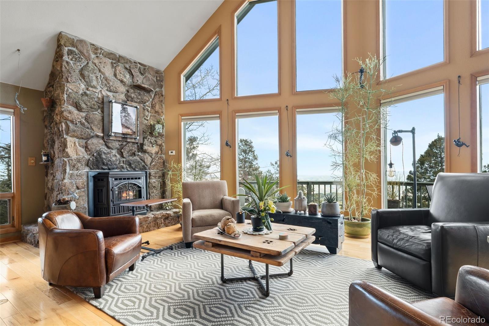 MLS Image #3 for 13452  riley peak road,conifer, Colorado