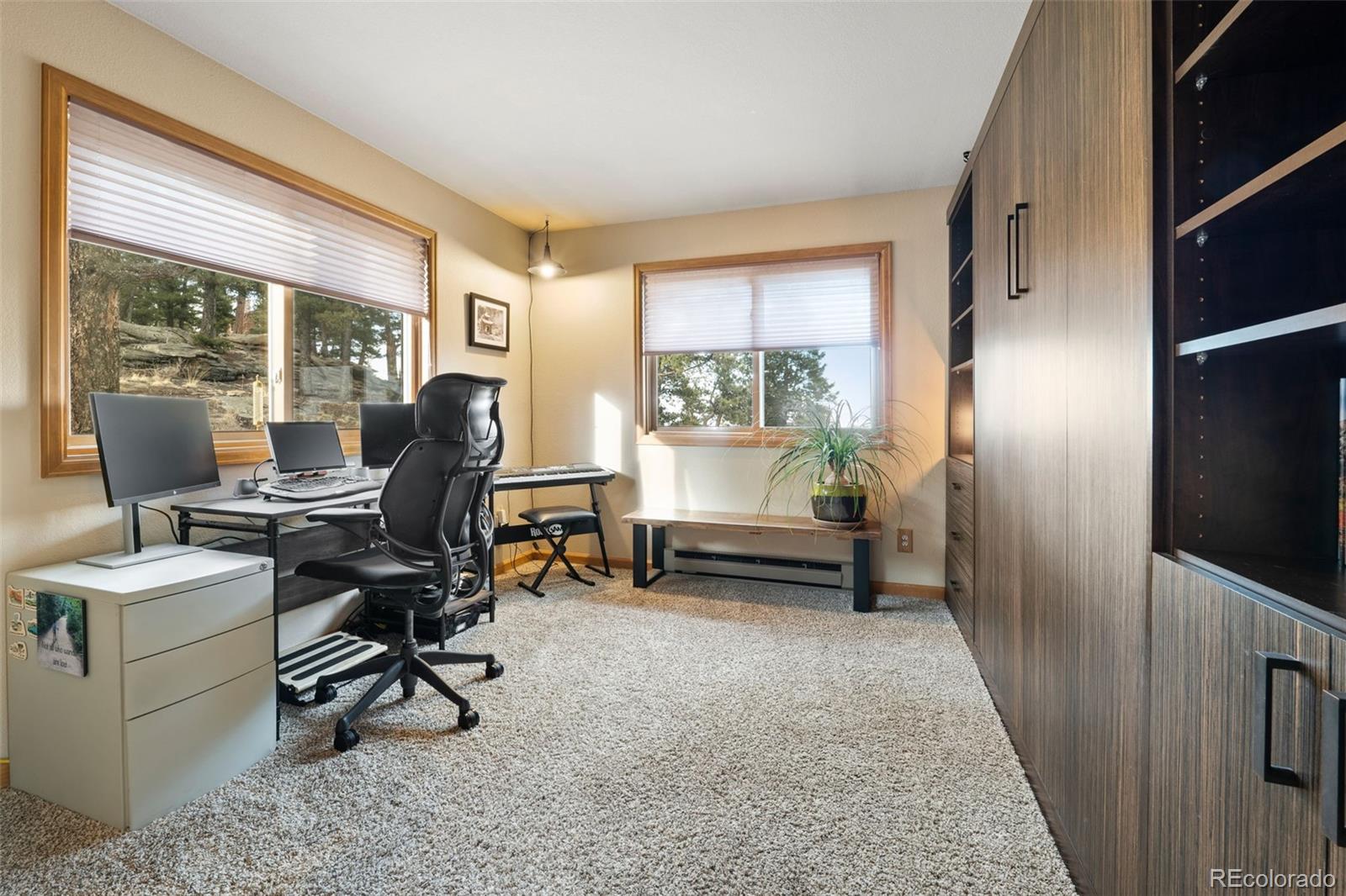 MLS Image #32 for 13452  riley peak road,conifer, Colorado