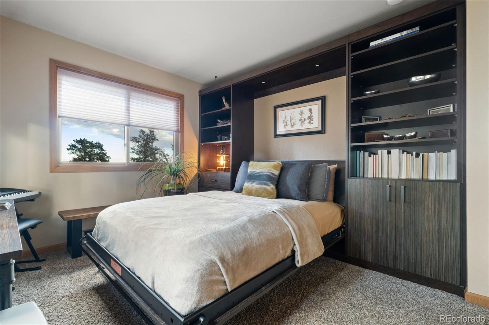 MLS Image #33 for 13452  riley peak road,conifer, Colorado