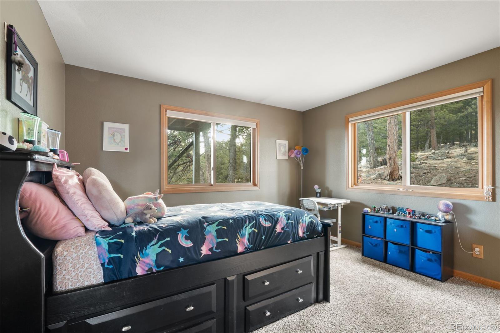 MLS Image #36 for 13452  riley peak road,conifer, Colorado