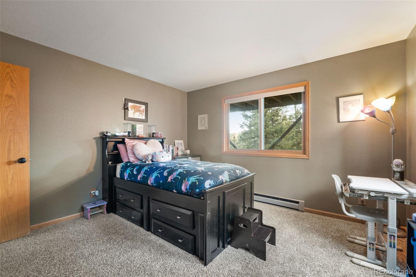 MLS Image #37 for 13452  riley peak road,conifer, Colorado
