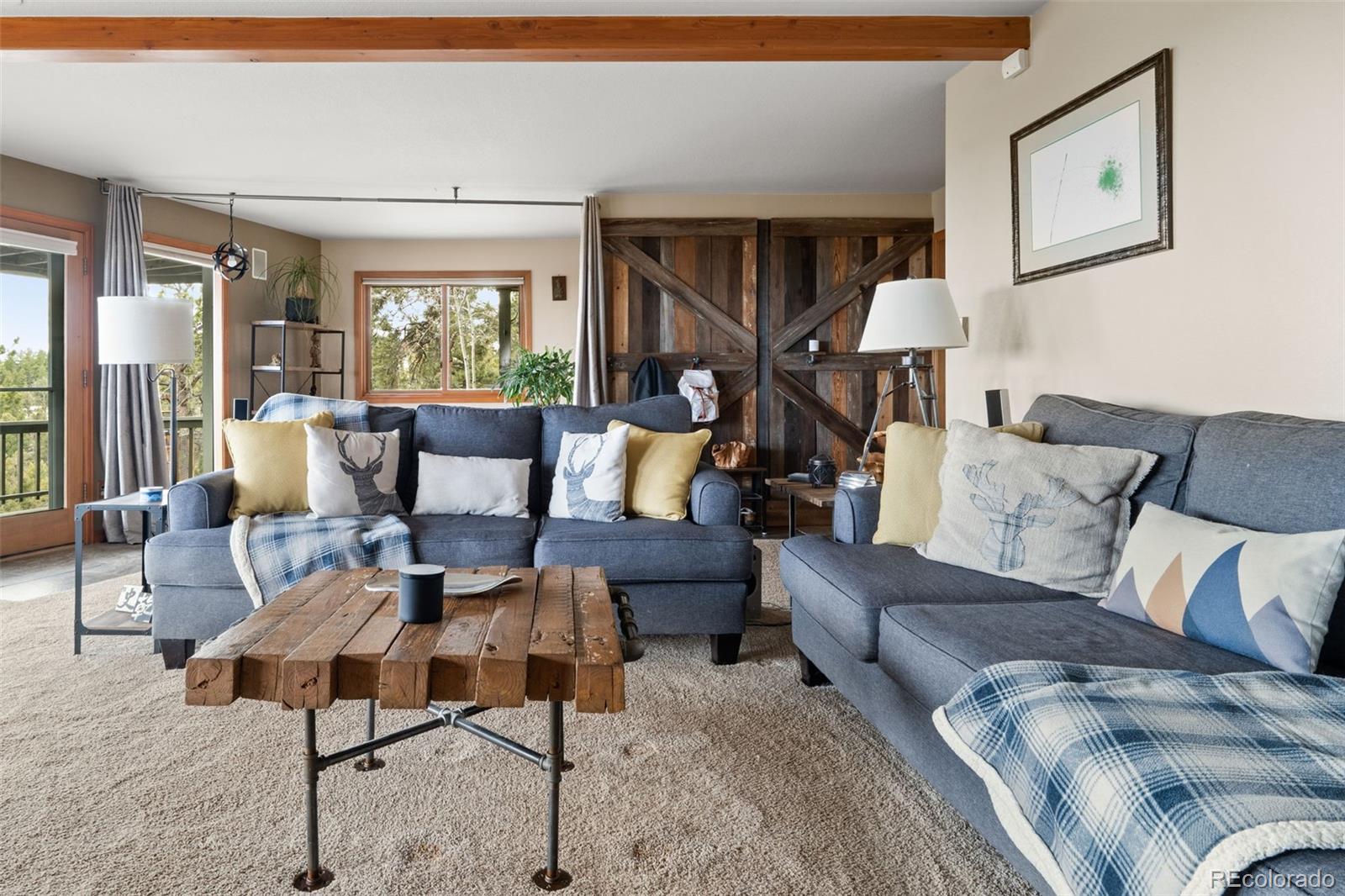 MLS Image #38 for 13452  riley peak road,conifer, Colorado