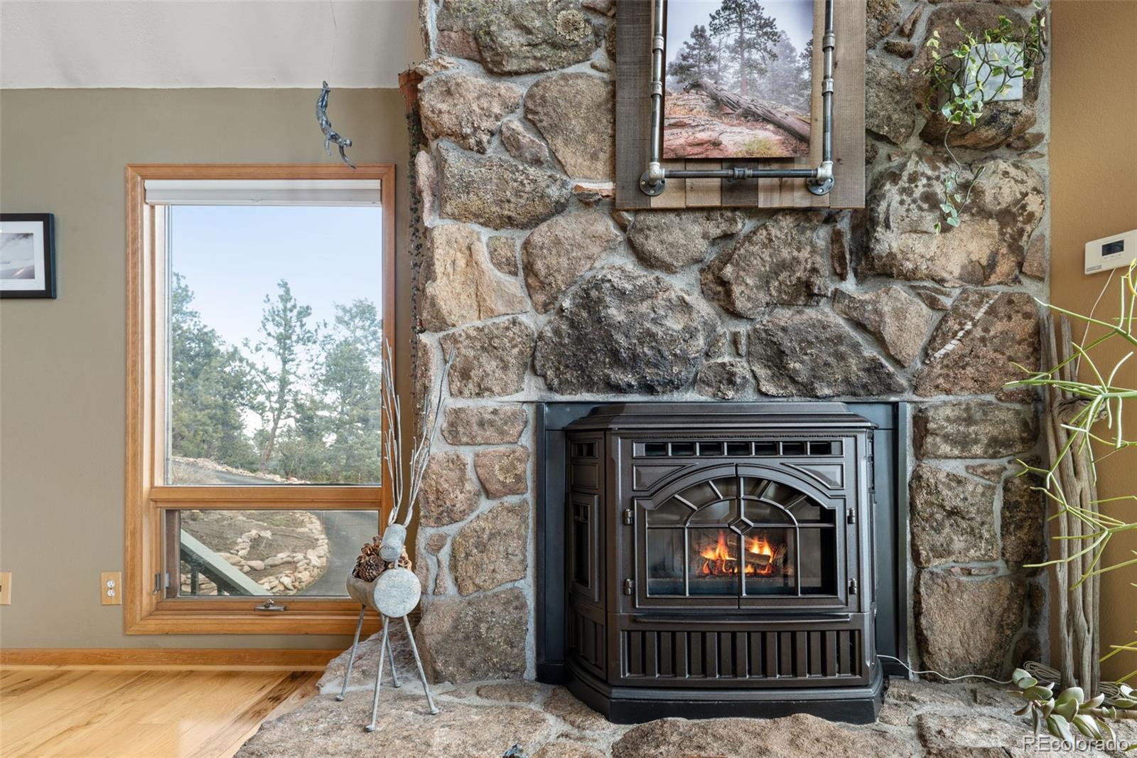 MLS Image #4 for 13452  riley peak road,conifer, Colorado