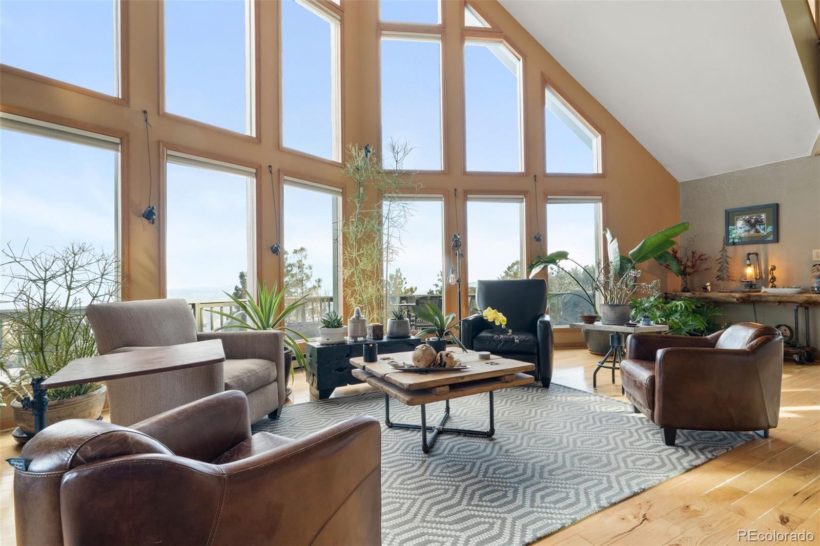 MLS Image #5 for 13452  riley peak road,conifer, Colorado