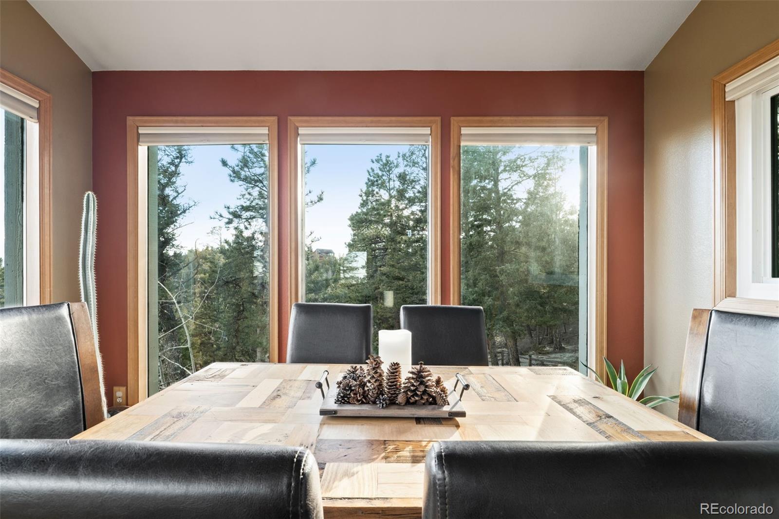 MLS Image #8 for 13452  riley peak road,conifer, Colorado