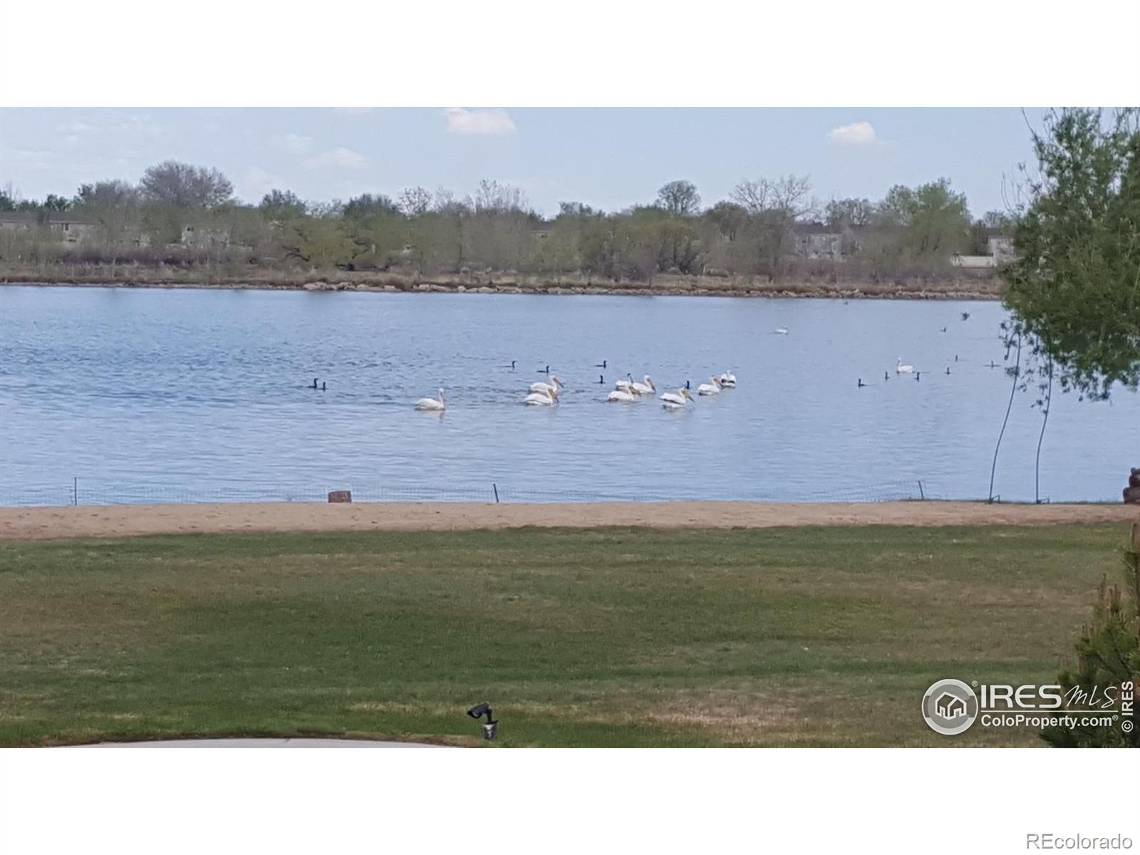 MLS Image #33 for 10752  county road 7 ,longmont, Colorado