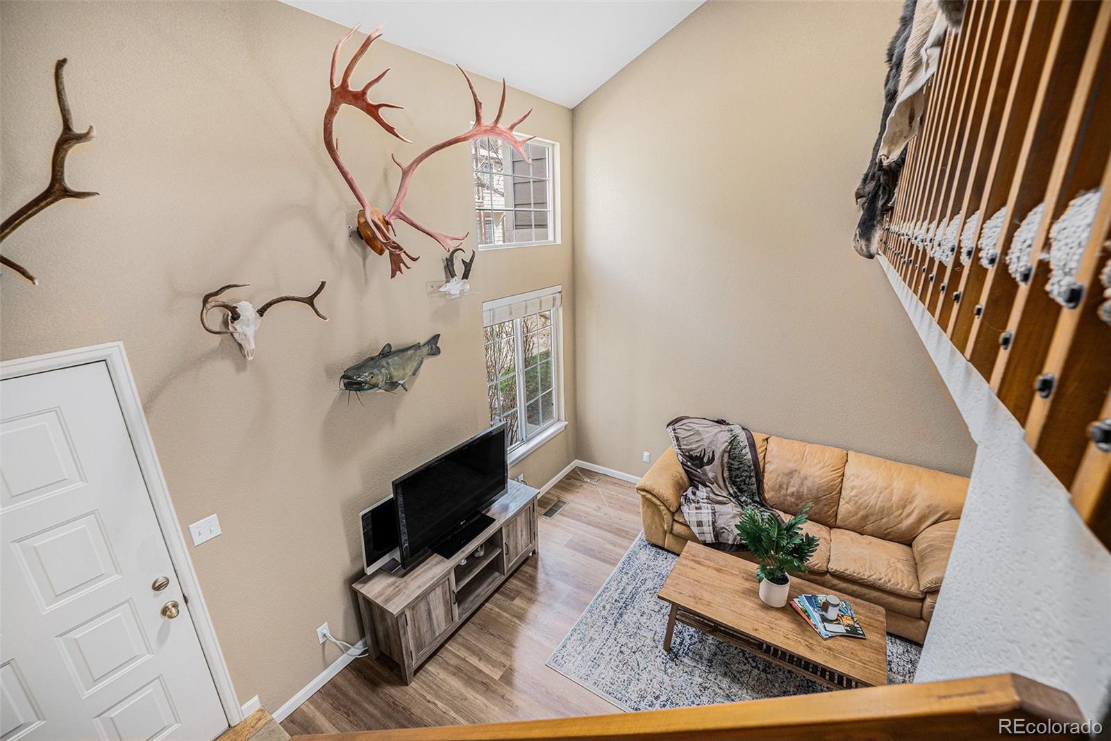 MLS Image #6 for 804  summer drive,highlands ranch, Colorado