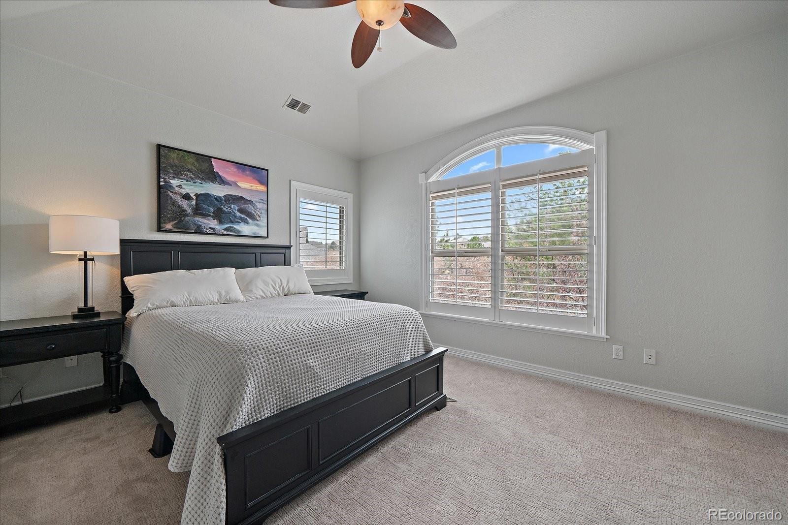 MLS Image #29 for 1159  buffalo ridge road,castle pines, Colorado